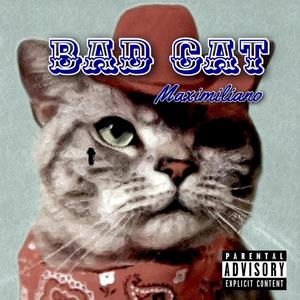 Bad Cat