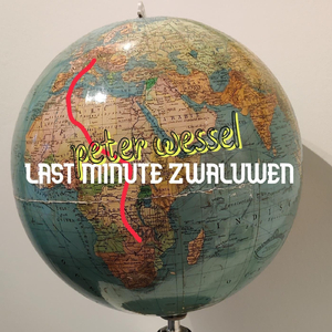 Last Minute Zwaluwen