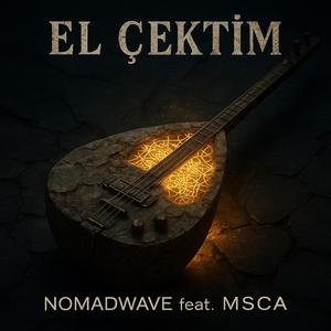 El Çektim