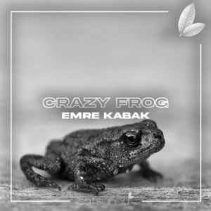 Crazy Frog