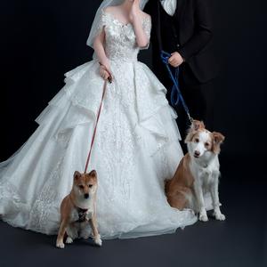 因为唱的太难听了所以先发伴奏