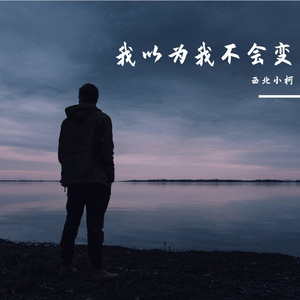 我以为我不会变