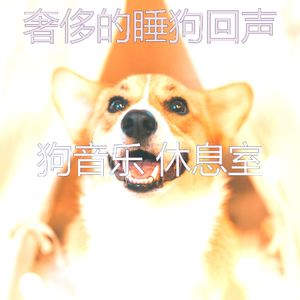 微妙的训练犬心情