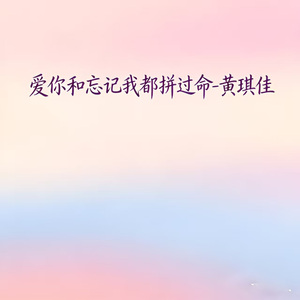 爱你和忘记我都拼过命 (DJ涵哈版)