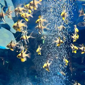 さよならを抱きしめて