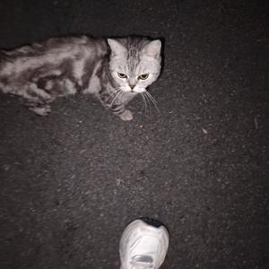 不习惯（幻想和楚分手第一天）