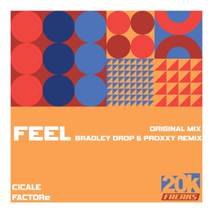 Feel (Bradley Drop & Proxxy Remix)