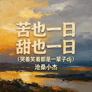 苦也一日 甜也一日（哭着笑着都是一辈子dj）