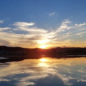 잘 시간 (불면증 치유 효과)