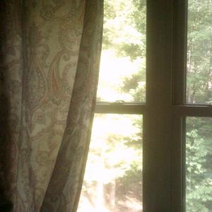 fish (feat. rosevile sucks)