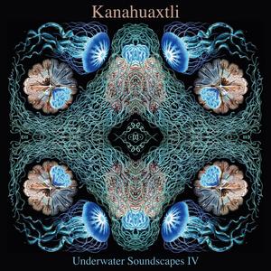 Underwater Soundscapes IV