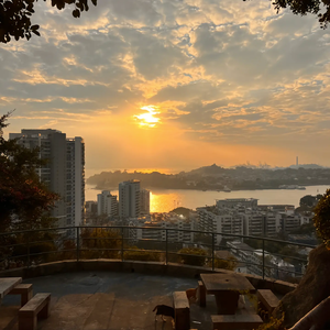 你和我和猫