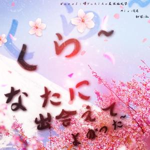 さくら ~あなたに出会えてよかった~/樱花樱花想见你（翻自 RSP）