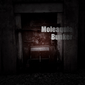 Bunker
