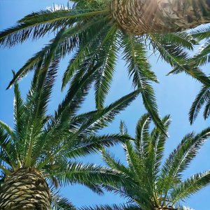 Mark（3D 环绕版）（Salao remix）