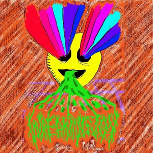 Ma Wee Mesocrictus Auratus