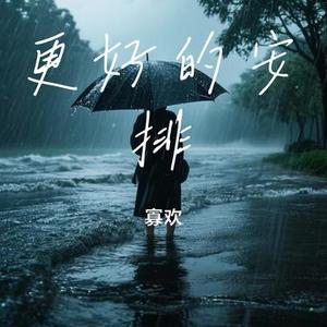 更好的安排