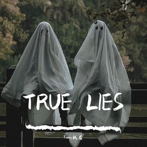 TRUE LIES（真实谎言）