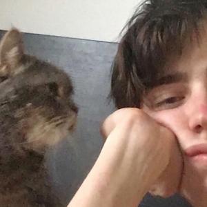 ʎpoqou-ǝɔuɐɹʇuǝ uɐ ƃuᴉʞɐ（Low Speed）（N-Y-Duo remix）