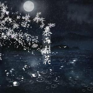 暴雨梨花（HBto一箱）