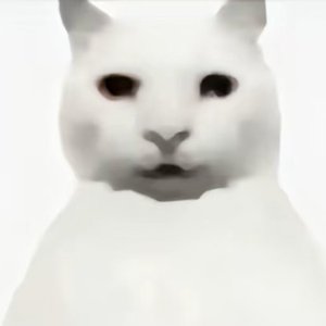 对影子的道歉