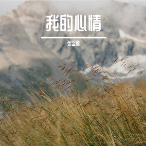 我的心情（自己） 伴奏