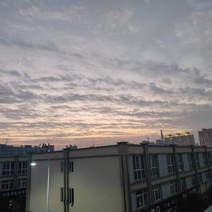 可爱的一朵玫瑰花（伴奏）