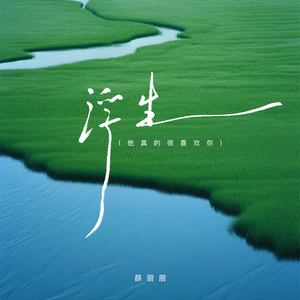 浮生 (他真的很喜欢你)
