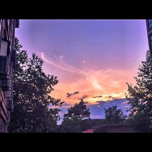 邹沛沛-沉溺0.8（Z-yh_1h remix）