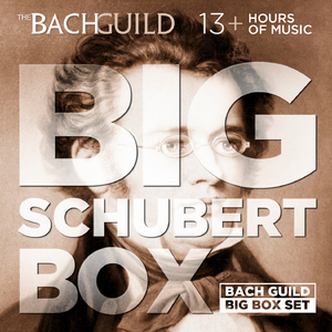 Quartetsatz in C Minor, D. 703 – Allegro assai