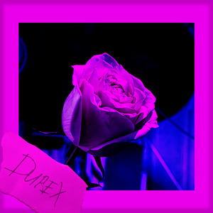 Durex