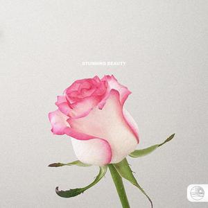 Stunning Beauty