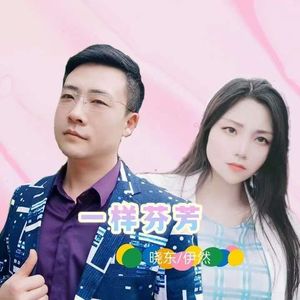 伊然、晓东 - 一样芬芳 (对唱)