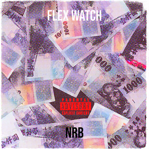 Flex Watch