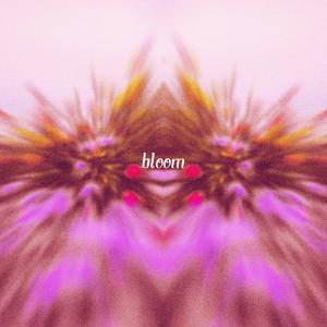 bloom