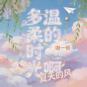 多温柔的时光啊 夏天的风
