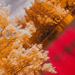 Requiem (Instrumental)