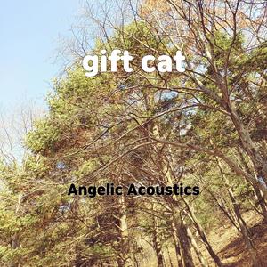 gift cat