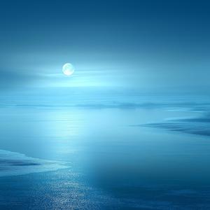 Snowfield Reminiscence