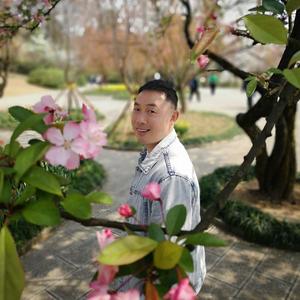 何不放手让你飞