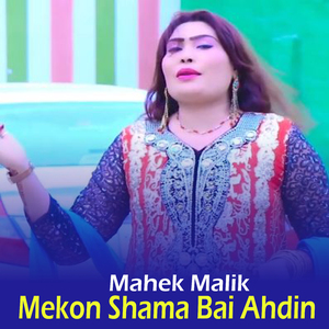 Mekon Shama Bai Ahdin