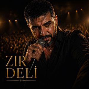 Zır Deli