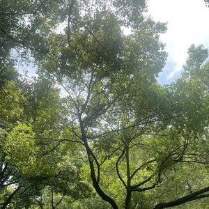 雨后的空气(prod.Syan Ru Music)