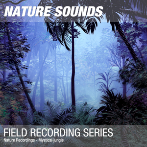 Nature Sounds for Sleep & Relaxation (Tropical Jungle, cicadas, birds) 04