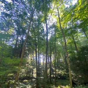 Surprise Foe Leaves Solemn Warning