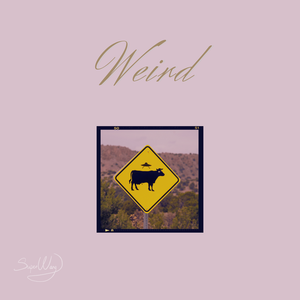 Troyboi x Drill Type Beat "Weird"