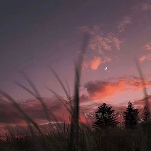 想你想你想我（伴奏）