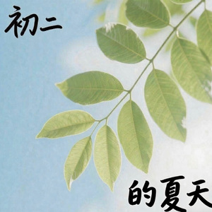 初二的夏天