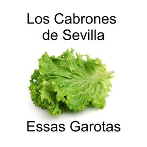 Chimpanzé (Eu queria ter um)