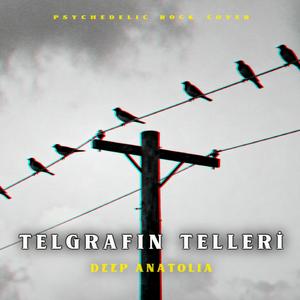 Telgrafın Tellerine Kuşlar Mı Konar | Psychedelic Anatolian Rock Cover
